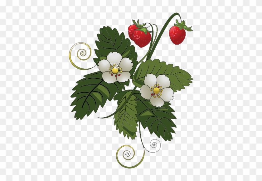 Strawberry Plant Vector Image Public Domain Vectors - Strawberry Tree Clip Art #320136