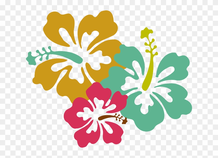 Immagine Gratis Su Pixabay - Hawaii Flower #320420