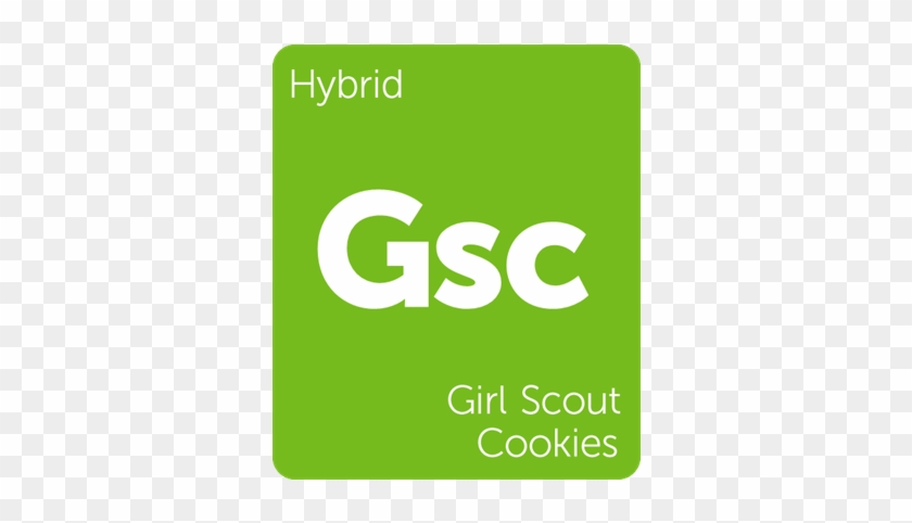 Girl Scout Cookies Weedmecca - Ncr Logo #320811