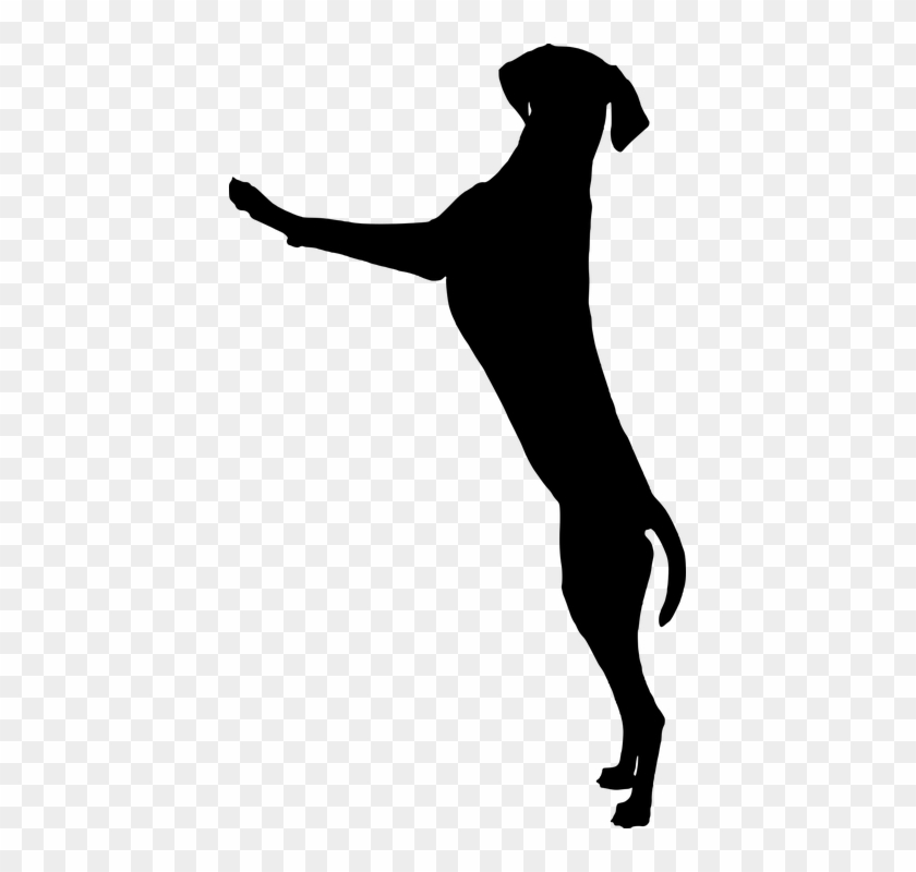 How Can I Stop My Dog Jumping Up On People - Dog Standing Silhouette #321003