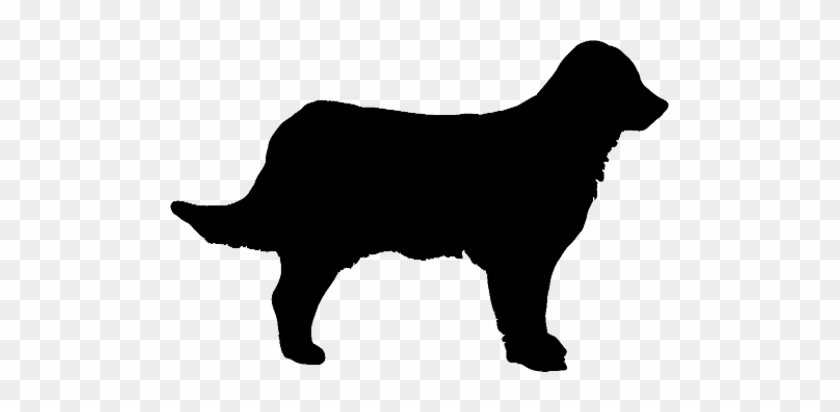 Afrozenheart 53 24 Dog Dilhouette By Clipartcotttage - Golden Retriever Dog Silhouette #321058