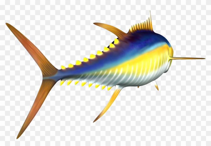 Free High Resolution Graphics And Clip Art - Tuna Clip Art Pngi #321148