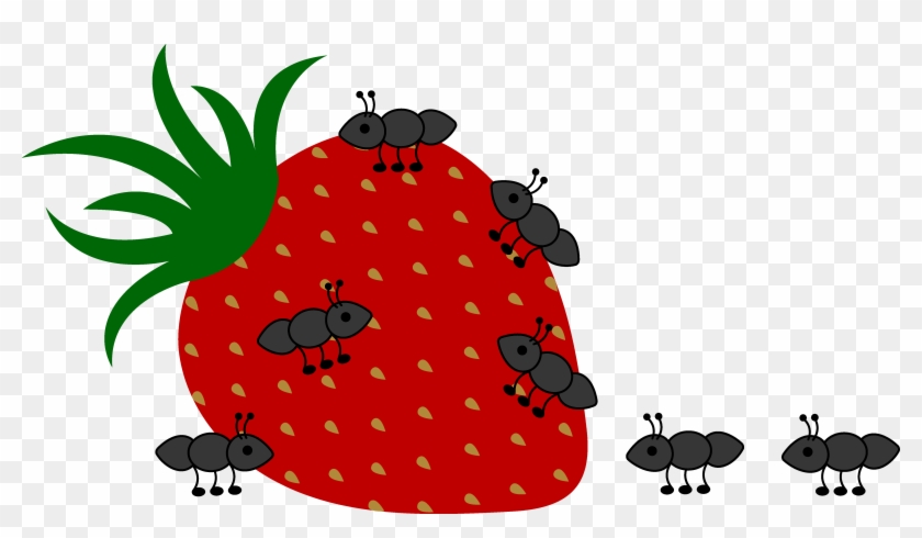 Ants Crawling On Strawberry - Sad Quotes About Love #321229