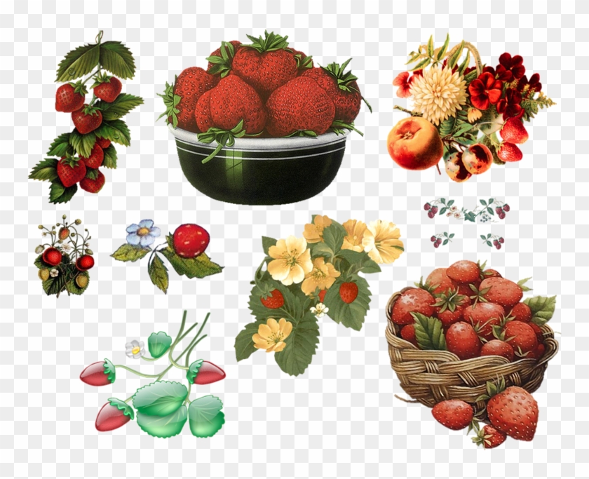 Strawberry Clip Art - Strawberry Clip Art #321362