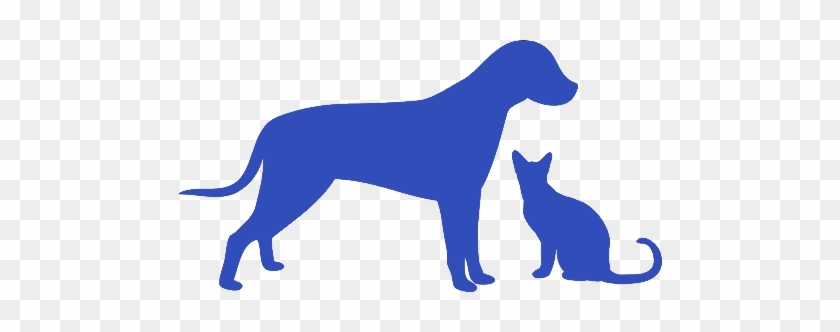 Dog #321559