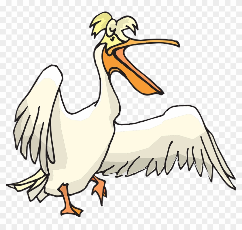 Pelican Clip Art - Pelican Clipart Png #321712