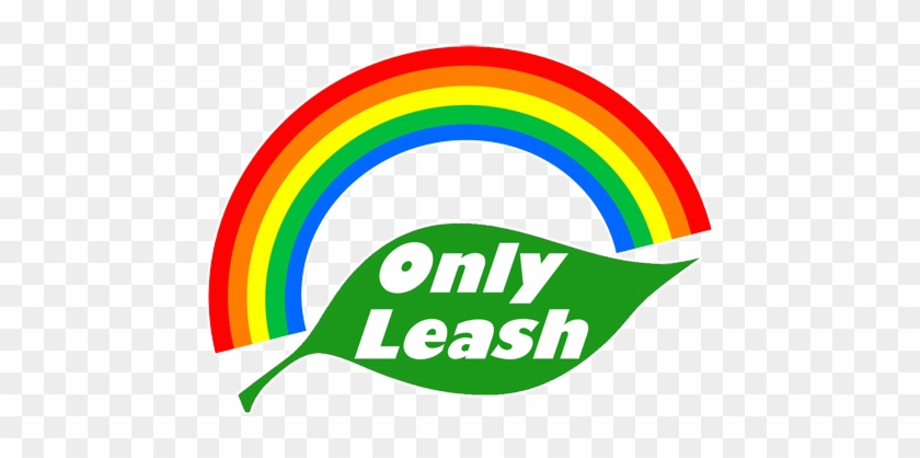 Dog Leash Best Only Leash Nylon Elastic Bungee Dog - Leash #321725