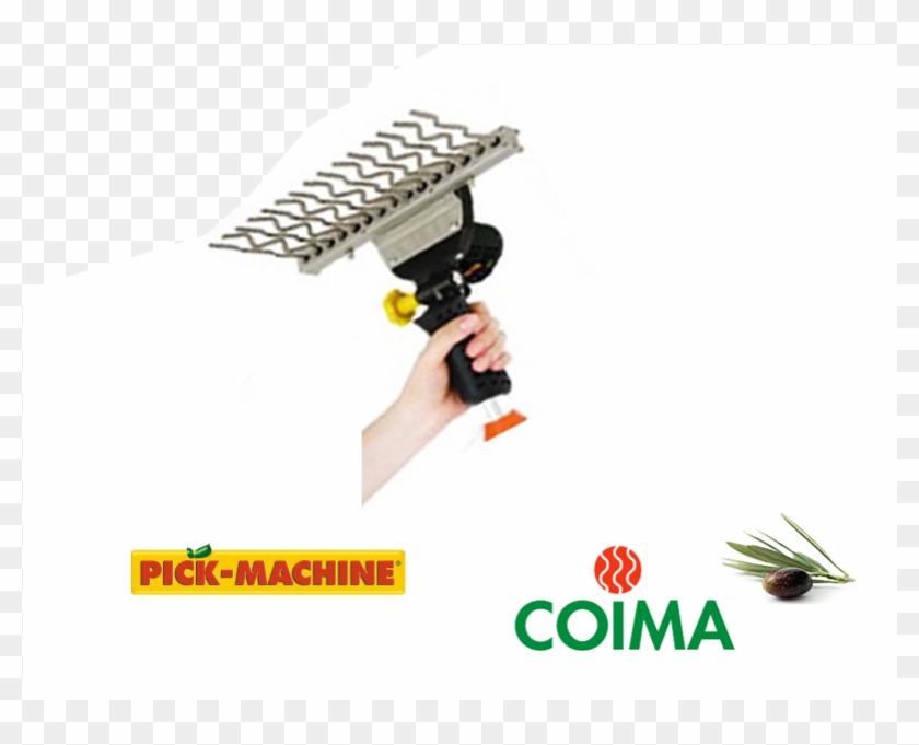 Peigne Vibreur Electrique Olivella Midi - Gma 7 #321786