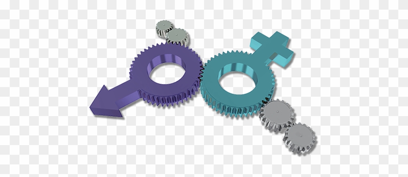 Open Gender And Vulnerable Populations - Gear #321915