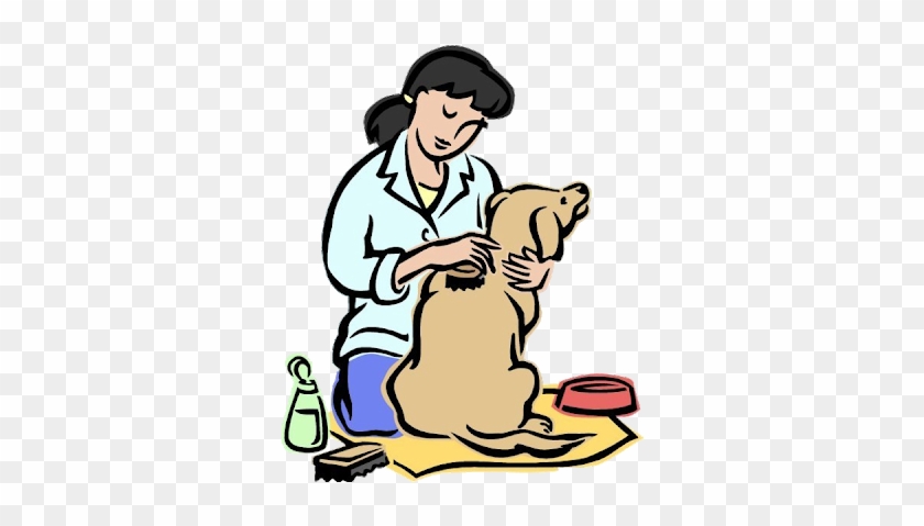 Animal Grooming Cartoon Animals Homepage - Taking Care Of Animals #321917