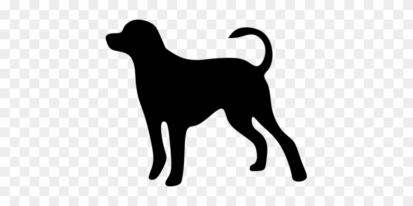 Beast Pet Animal Animals Dog Doggy Dog Dog - Quotes Loss Of A Dog #322113