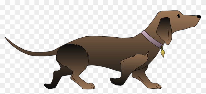 Black Dog Pet Animal Mammal Fur Dachshund - Dachshund Dog T Shirt #322119