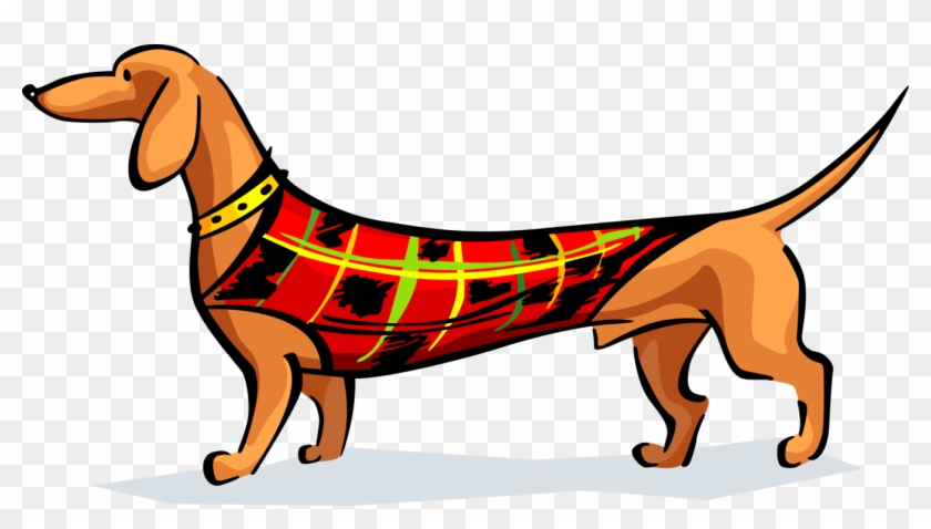 Vector Illustration Of Dachshund Wiener Or Sausage - Vector Illustration Of Dachshund Wiener Or Sausage #322124