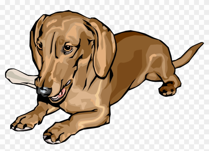 Vector Illustration Of Cute Dachshund Dog Lying Down - Cute And Cuddly Canine Dachshund With Bone - Mouse #322127