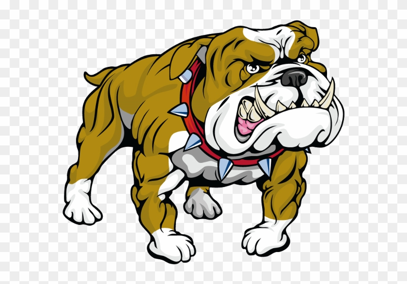 are bulldogs angry