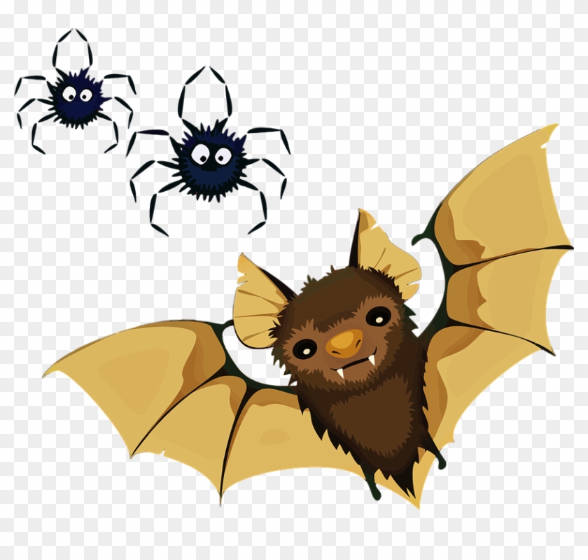 Funny Halloween Pictures Cartoons 27, Buy Clip Art - Spiders And Bats Clipart #322259