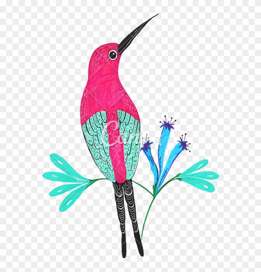 Hand Drawing Of Hummingbirds - Ruby-throated Hummingbird #322514