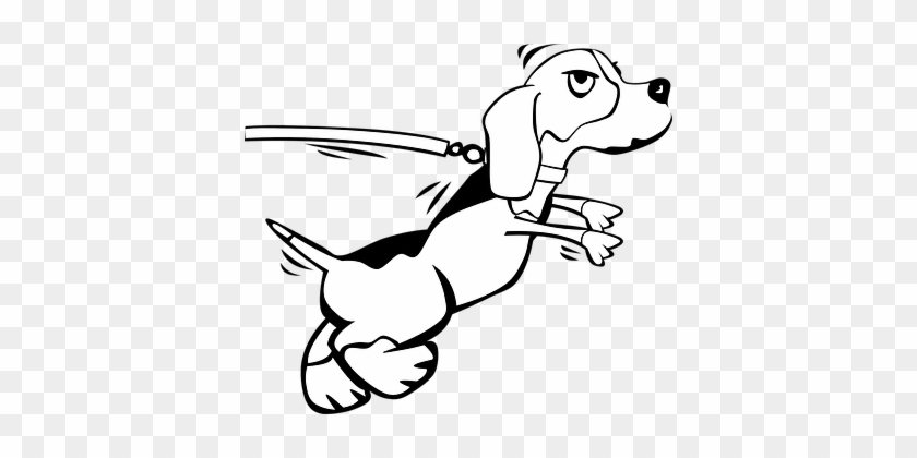 Dog, Leash, Lead, Running, Animal - Dog On A Leash Drawing #322553