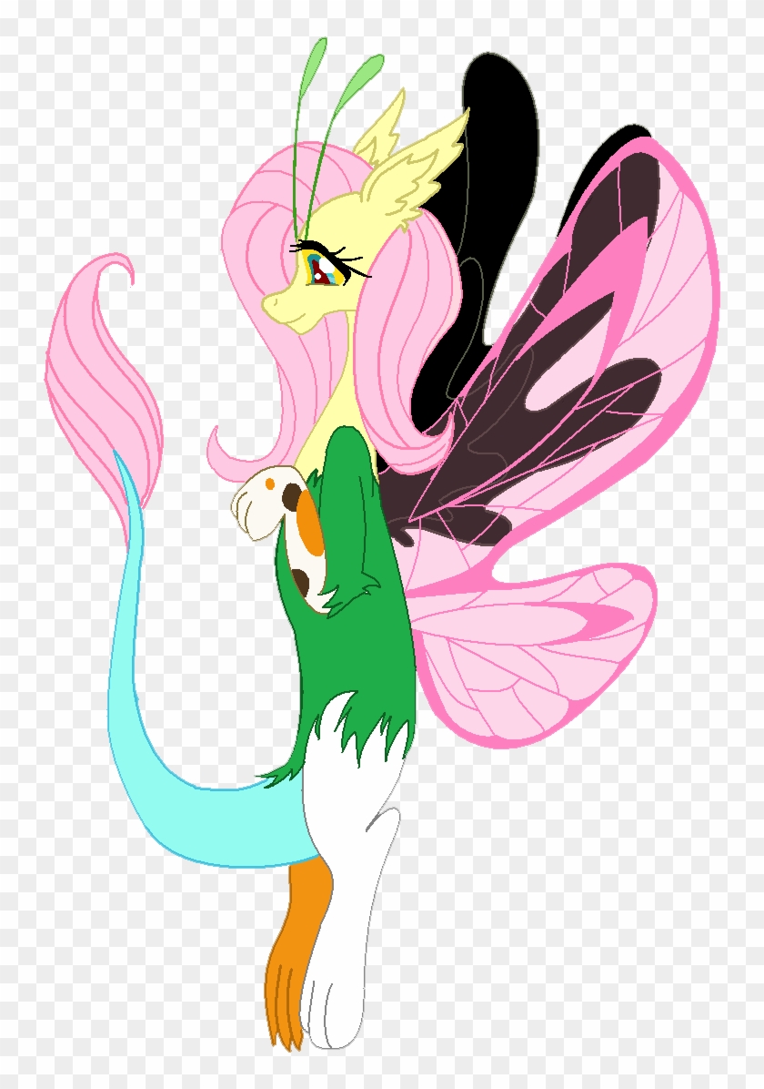 Draconequus Fluttershy By Cdla - Draconequus Fluttershy #322556