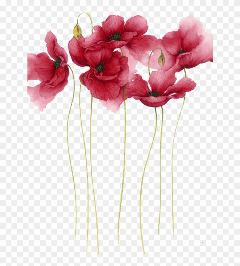 Watercolor Painting Flower Drawing Art - Watercolor Flowers #322602