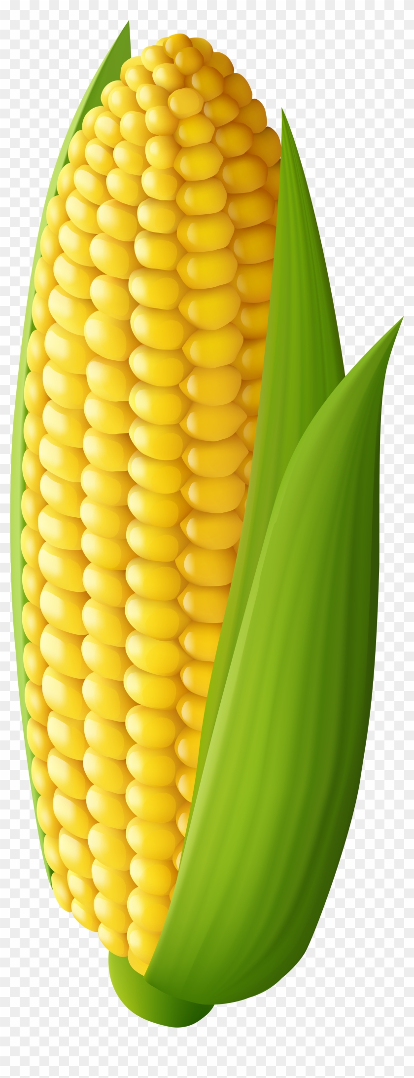 Corn Transparent Png Clip Art Image - Corn Transparent #322619