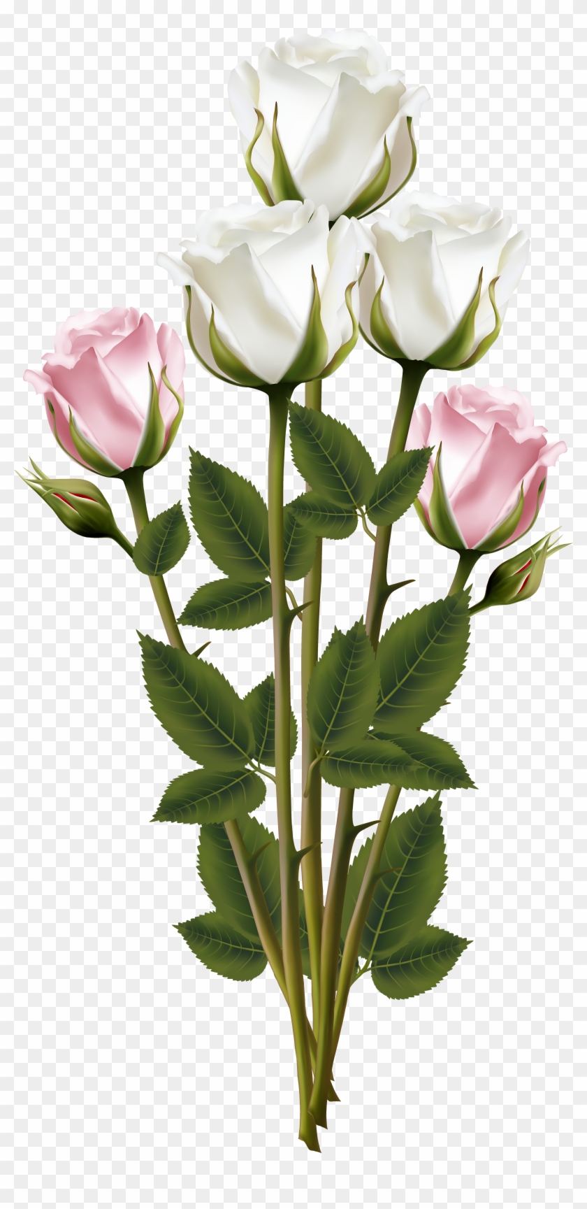 White Rose Clipart Rose Bouquet - Bouquet Transparent #322675