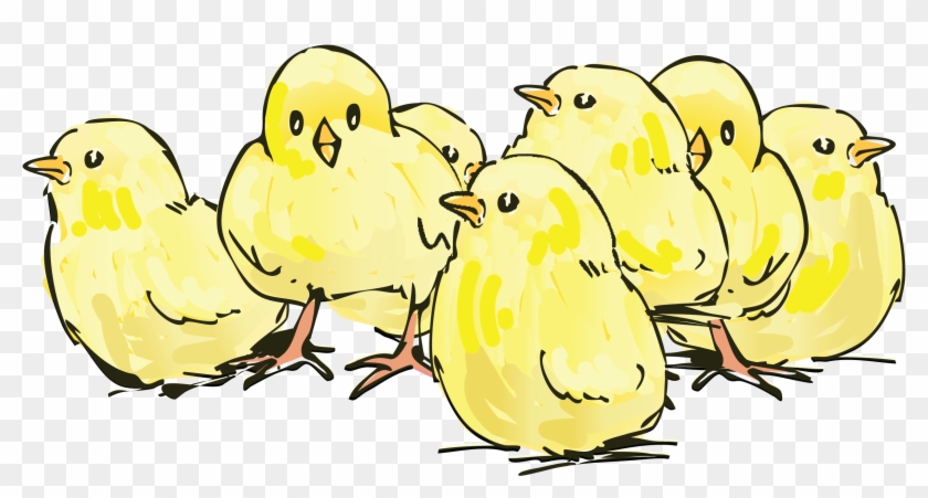 Free Clipart Of Yellow Chicks - Dots Per Inch #322670