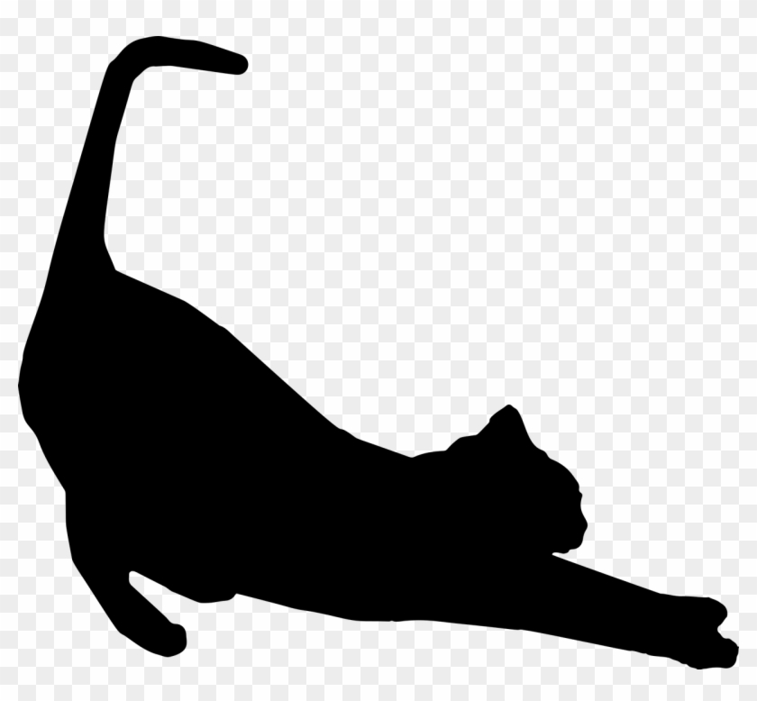 Stretching, Cat, Feline, Animal, Pet, Silhouette - Cat Silhouette Stretching #322691
