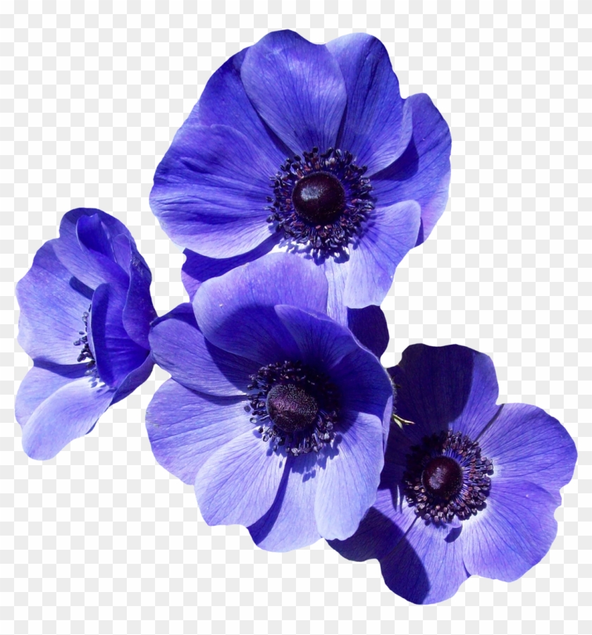 Purple Flower Png #322754
