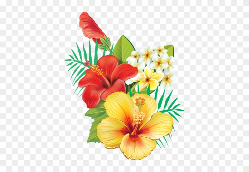 Pin Clipart Blumen Bordüren - Cafepress Tropical Hibiscus Tile Coaster #322785