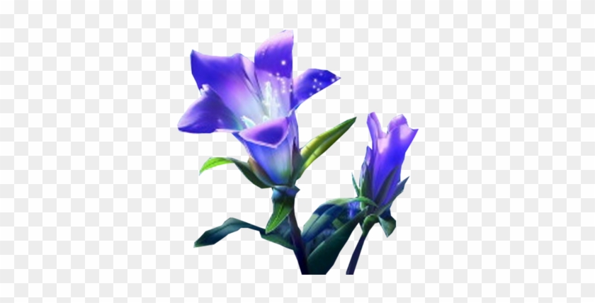 Purple Flowers - Flower #322841