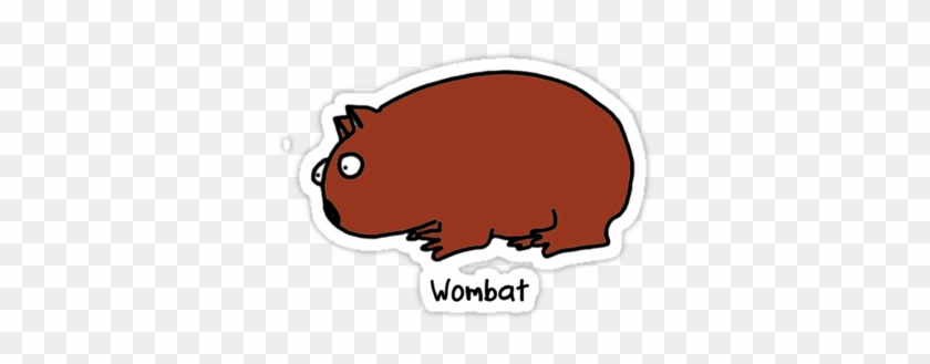 Wombat Clipart Cute - Cartoon Wombat Png #322972