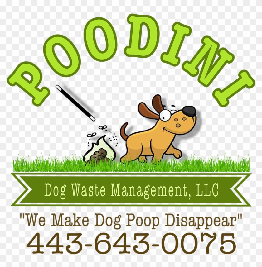 Bel Air Maryland Pooper Scooper Service Poodini - Bel Air #322991