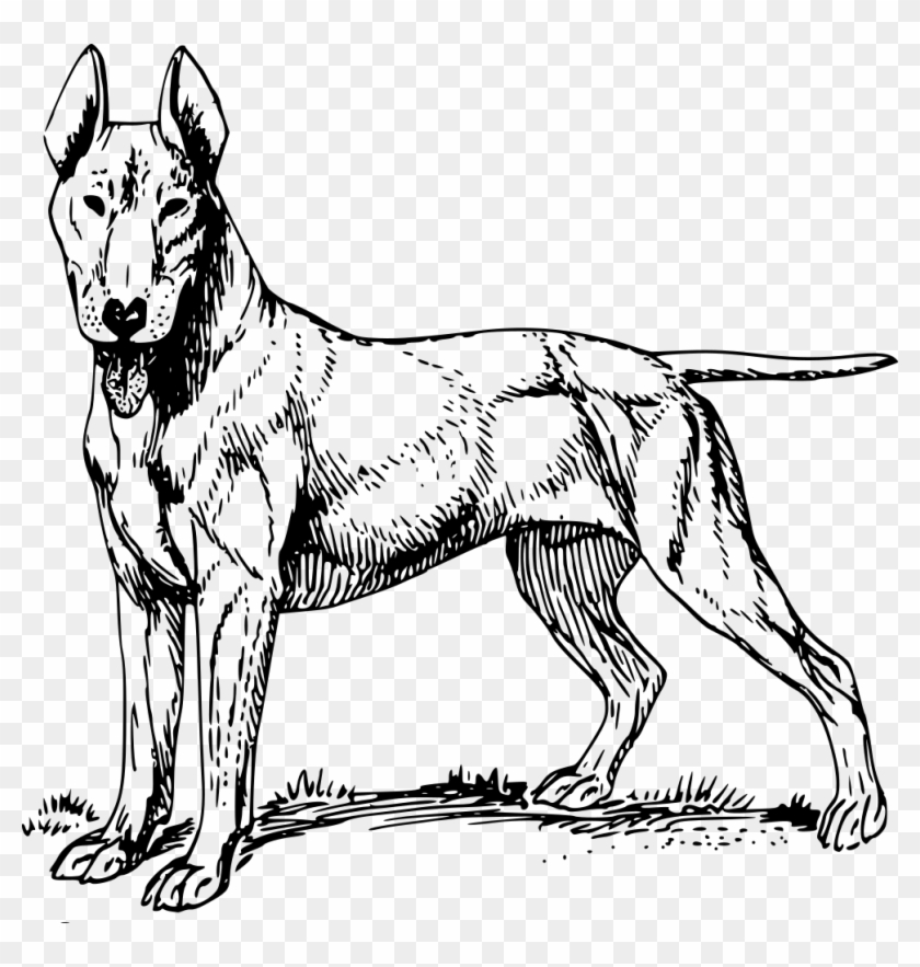 Dog Png Clipart - Gambar Anjing Pitbull Animasi #323028