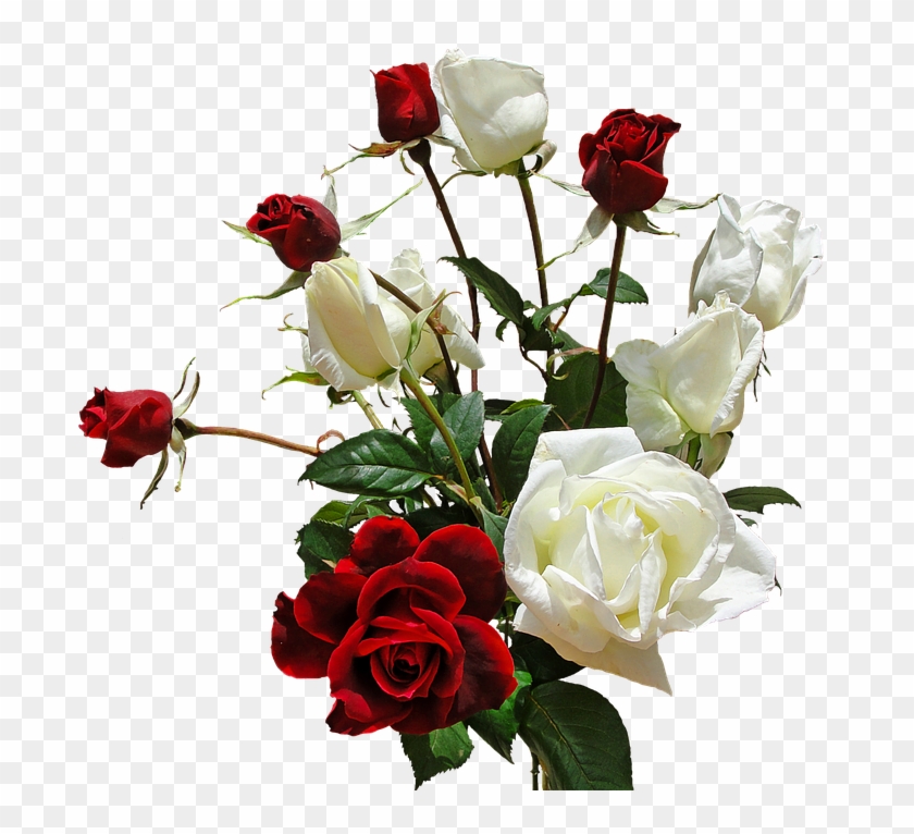 White Rose Png - Transparent Bouquet #323119