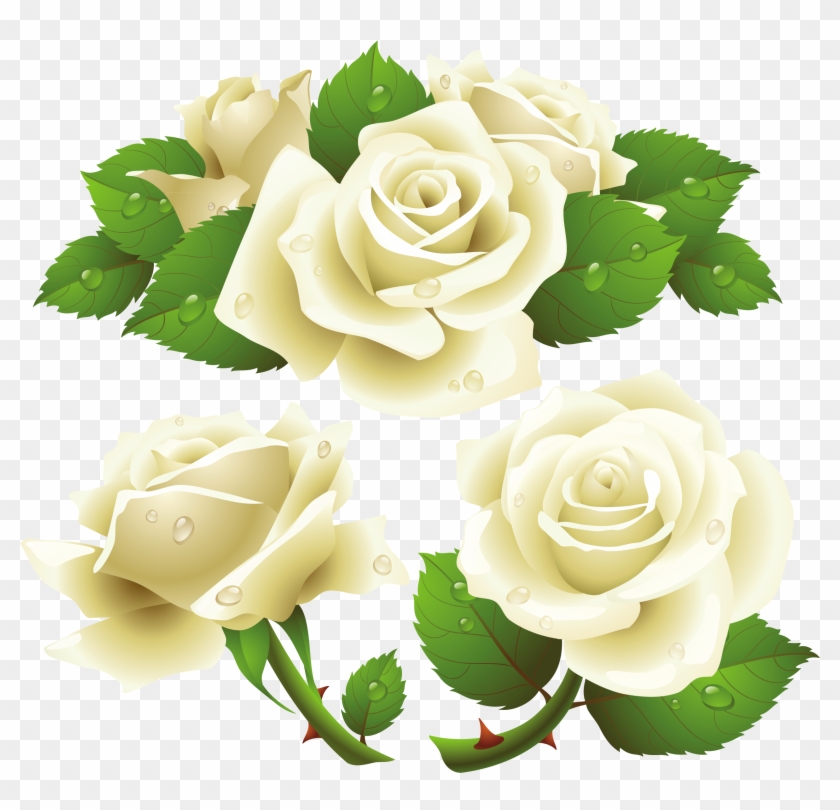 White Rose Png Image, Flower White Rose Png Picture - White Rose Vector Png #323183