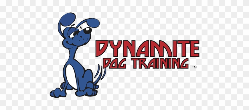 Dynamite Dog Training #323251