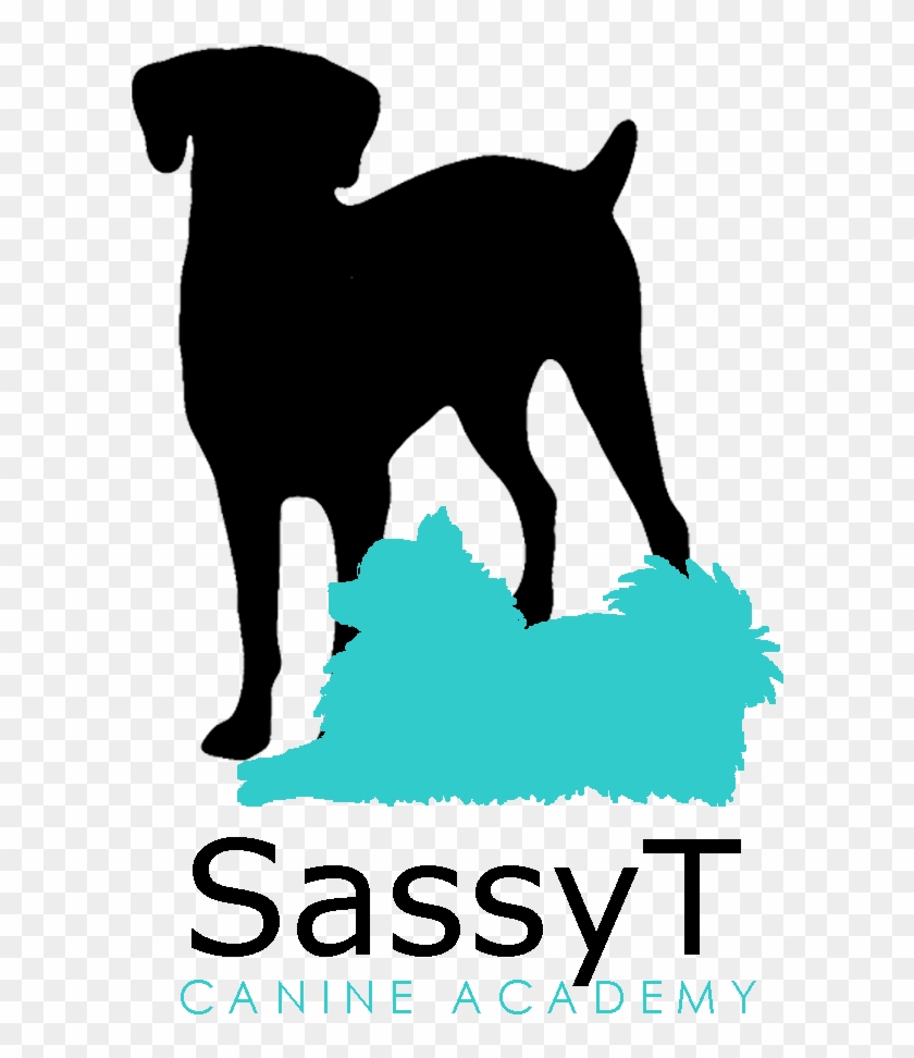Canine Graduates Sassy T Canine Academy - Kassandra: Botin Der Liebe [book] #323254
