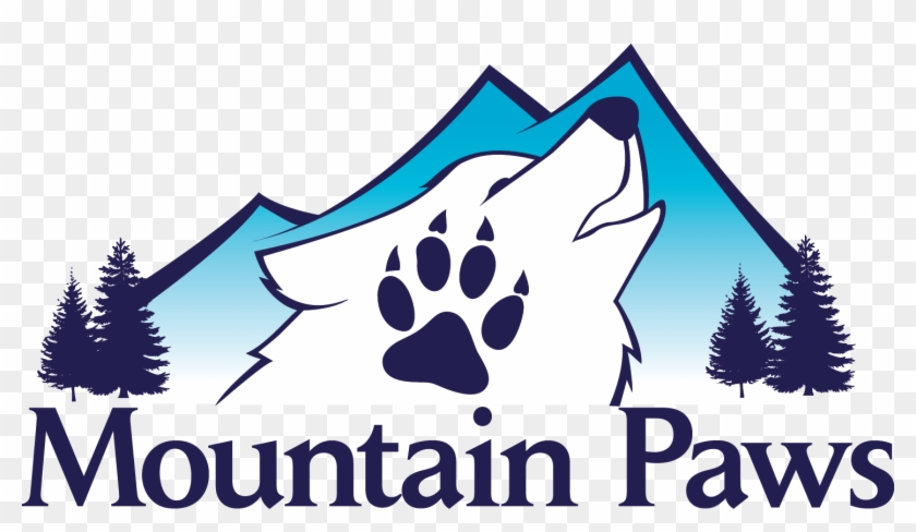 Mountain Paws Dog Sledding - Camp Winnipesaukee #323414