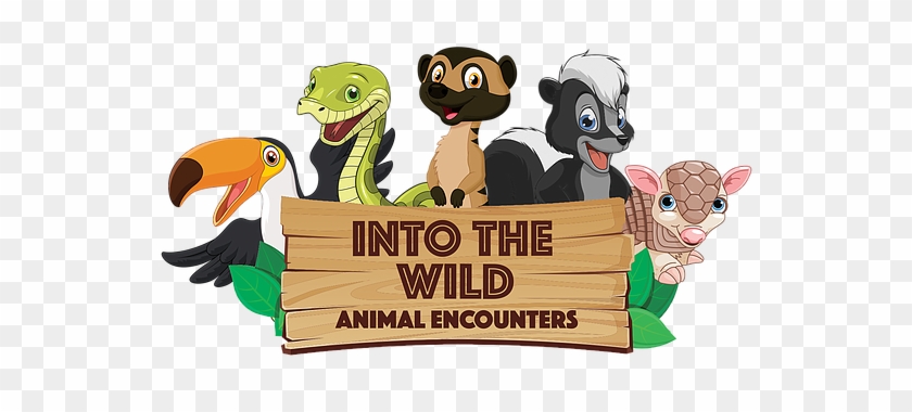 Exotic, Animal, Encounters, Parties - Into The Wild Animal Encounters #323426