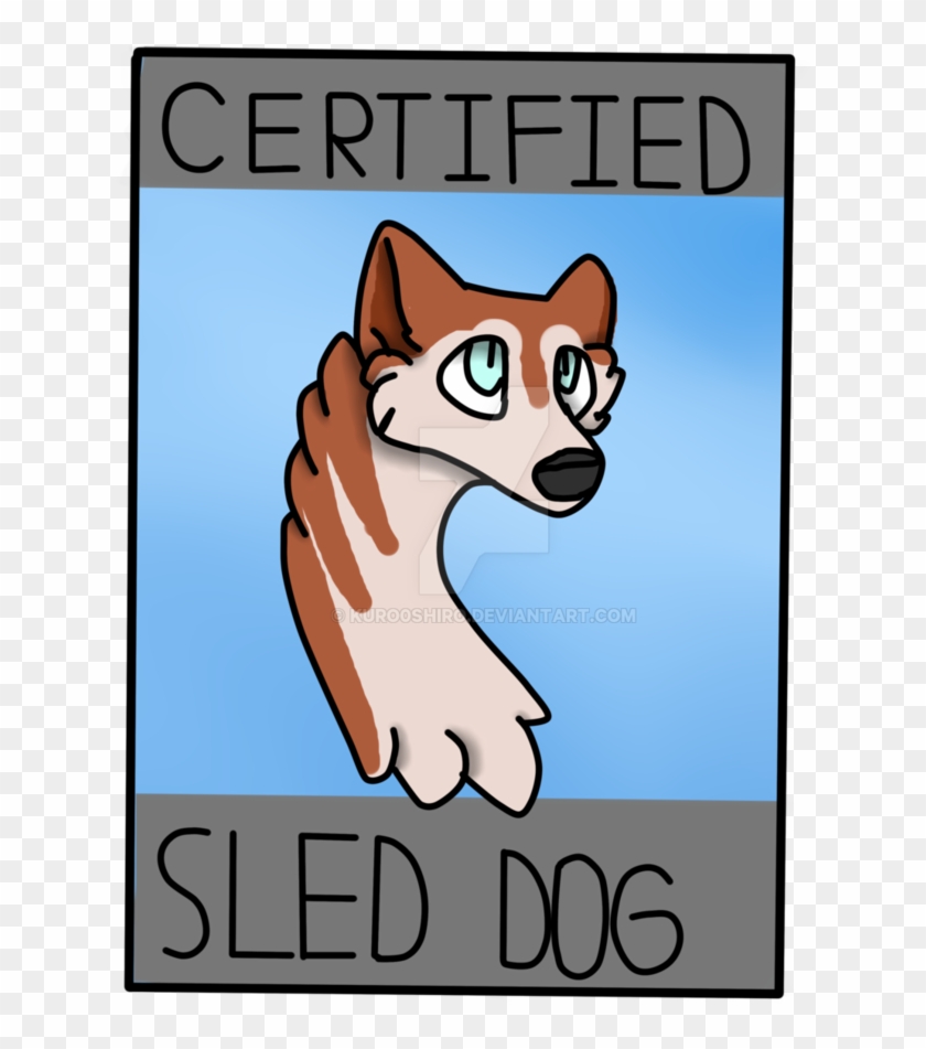Certified Sled Dog Badge Print Red Husky By Kuro0shiro - Miniature Siberian Husky #323441