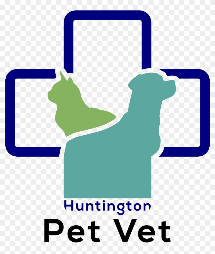 Huntington Beach Pet Vet - Huntington Pet Vet #323471