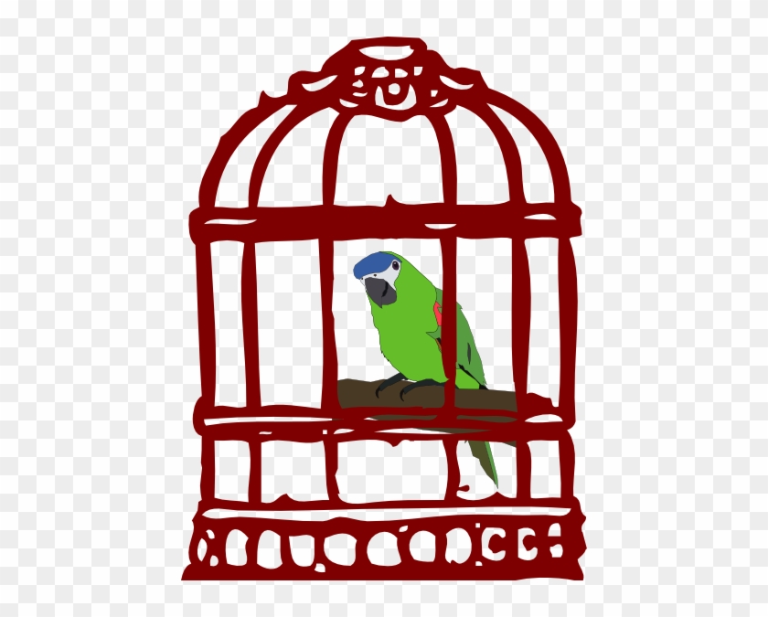Pet Bird Clipart Collection - Bird In Cage Clipart #323473