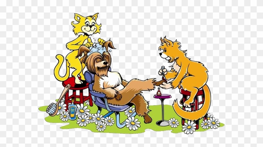 Funny Animal Grooming - Cartoon Dog Grooming - Free Transparent PNG Clipart  Images Download