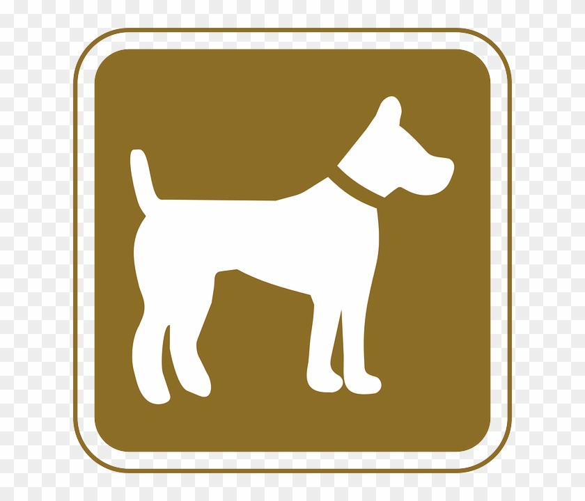 Symbol, Dog, Pets, Allowed, Tourist, Pet, Allows - Brady 115219 Notice Sign,18 X 12in,grn/wht,al,eng #323557