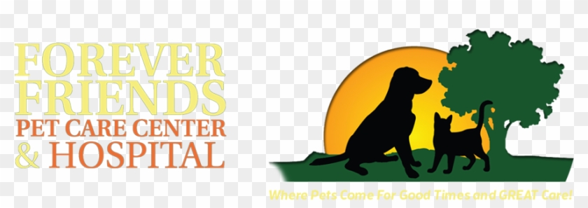 Forever Friends Pet Care Center - Forever Friends Pet Care Center & Hospital #323571