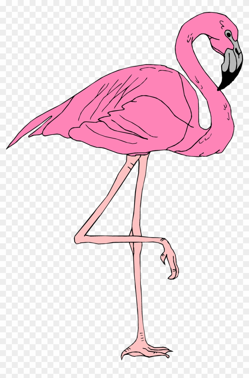 Flamingo - Pink Flamingo Transparent Background #323666