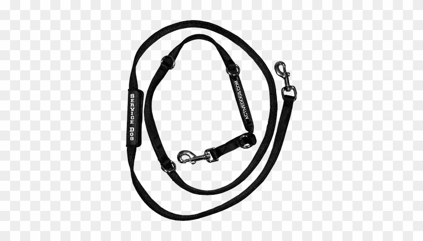 Service Dog Leash #323700