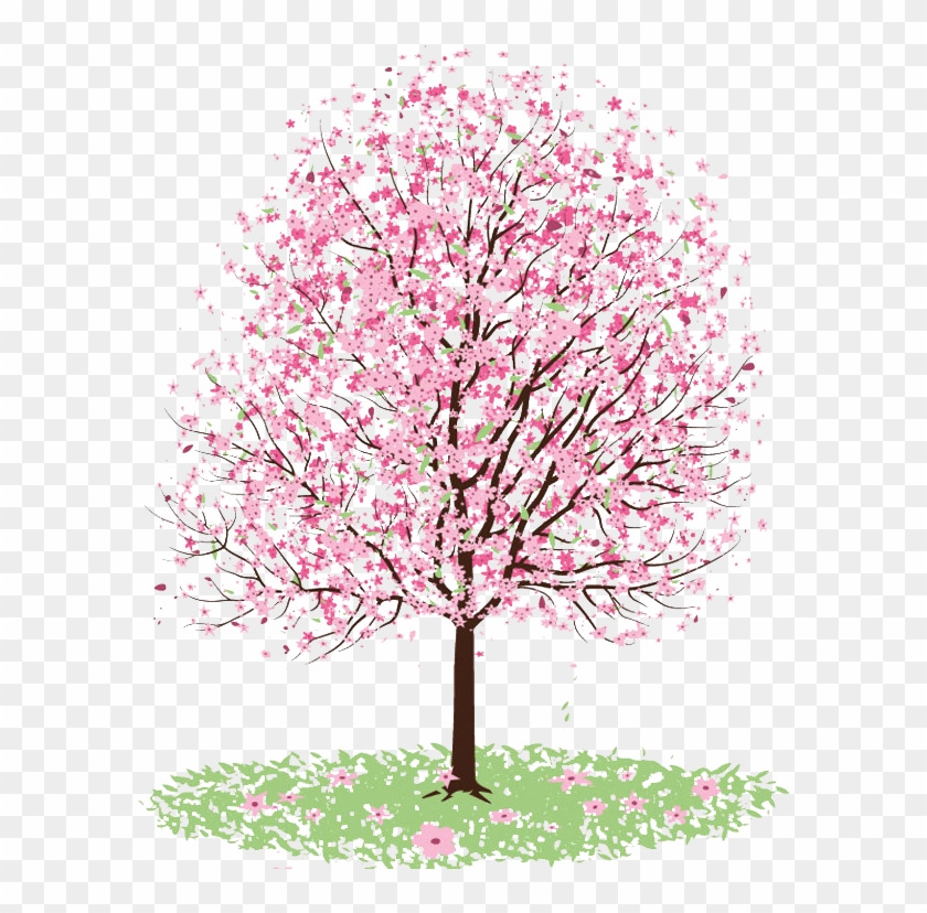 Related Categories - Cherry Blossom Tree Coloring #324016