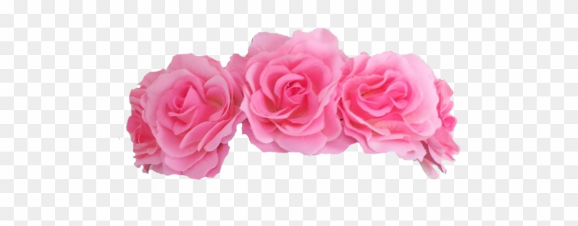 Wow References - Pink Flower Crown Png #324032